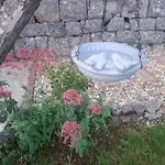 דירה Envi